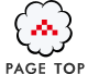 PAGE TOP
